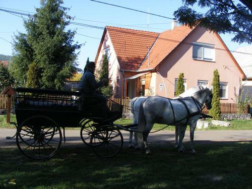 Hostal Ak�cvir�g Vend�gh�z �s Apartman