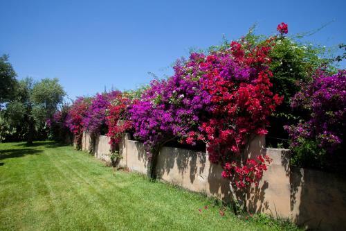 Agroturismo Masseria Li Foggi