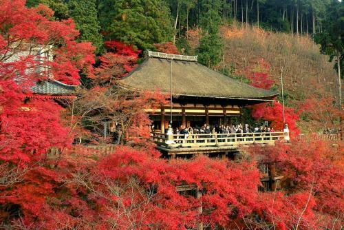 Zen Kyoto Kinkaku-ji Temple