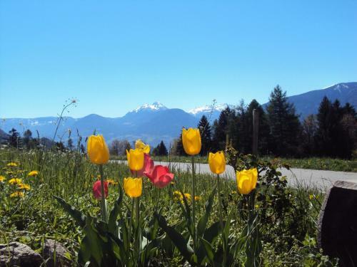 Agroturismo Aussersalfnerhof