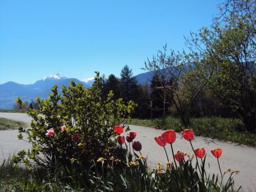 Agroturismo Aussersalfnerhof