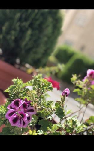 Aparthotel Tilal Almadina Hotel Apartments