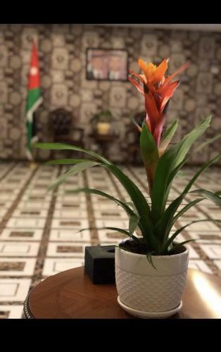 Aparthotel Tilal Almadina Hotel Apartments