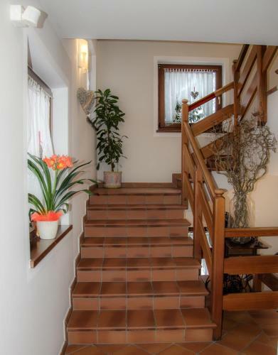 Hotel Casa Alpina - Alpin Haus