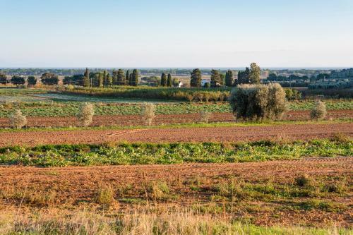 Agroturismo Agr. Terre Di Castiglione