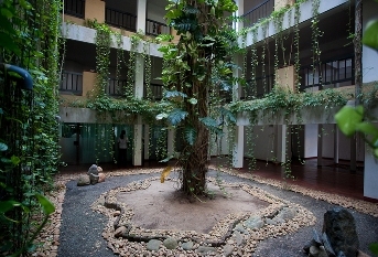 Club Hotel Dolphin