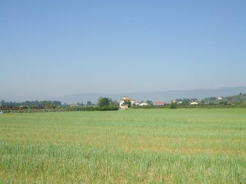 Agroturismo Al Vecchio Leccio