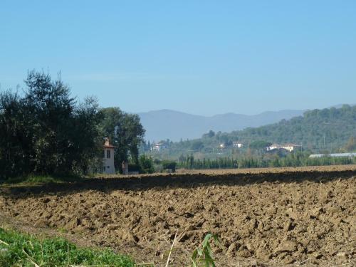 Agroturismo Al Vecchio Leccio