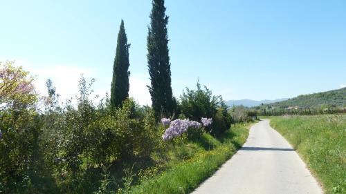 Agroturismo Al Vecchio Leccio
