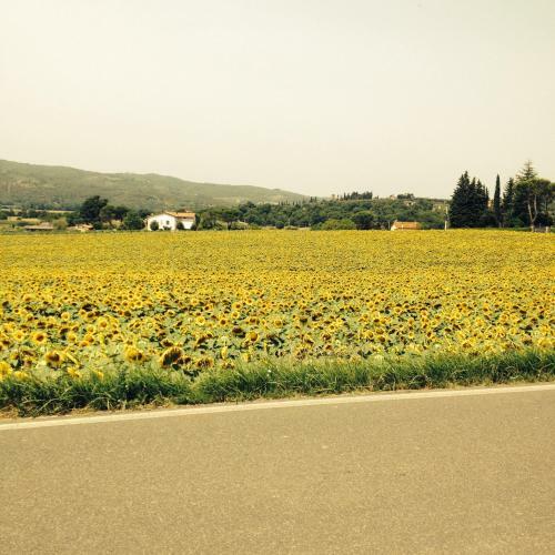 Apartamento Tre Girasoli