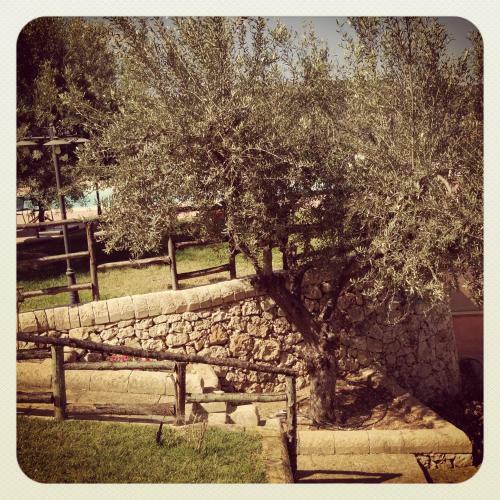 Agroturismo Pantalica Ranch