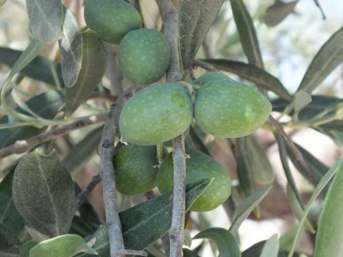 B&B Siciliantica
