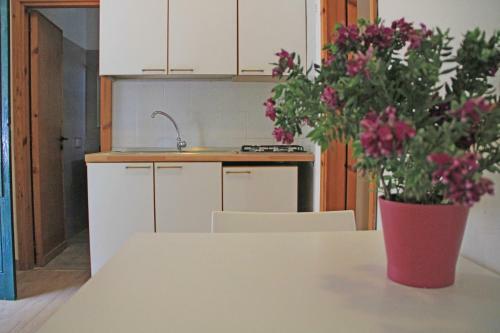 Apartamento Centro Vacanze Piccolo Friuli