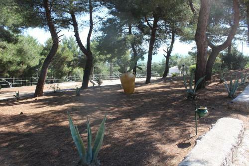 Apartamento Centro Vacanze Piccolo Friuli