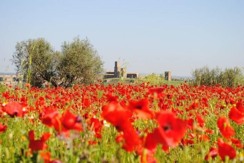 Agroturismo Agriturismo Casa Caponetti