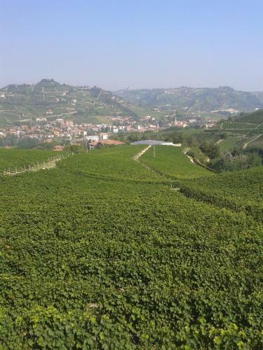 Agroturismo Agriturismo Ai Piacentini