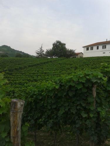 Agroturismo Agriturismo Ai Piacentini