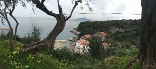 Apartamento Villa Rosmary