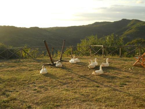 Agroturismo Guinzano