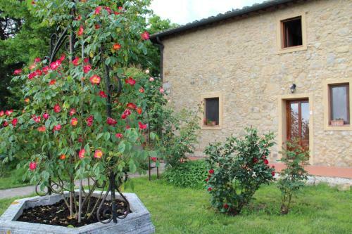 Agroturismo Agriturismo Il Castagnolino