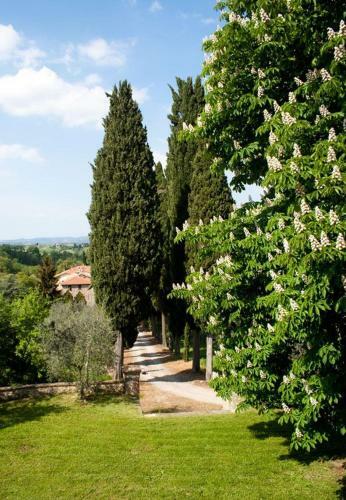 Agroturismo Agriturismo F.lli Mori