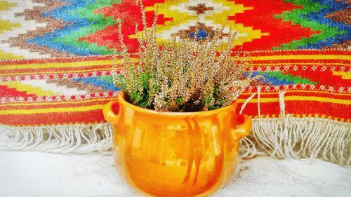 Hostal Giardino Dei Limoni Apartment