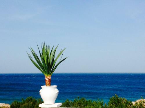 Bed & Breakfast Playa Del Mar - Adults Only