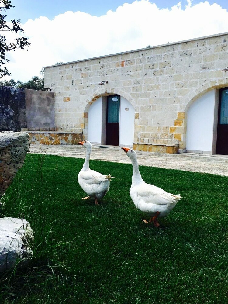 Agroturismo Masseria Pappo