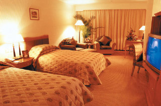 Hotel Panglin