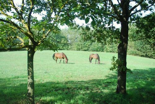 Agroturismo Bed & Breakfast Cascina Cin Cin