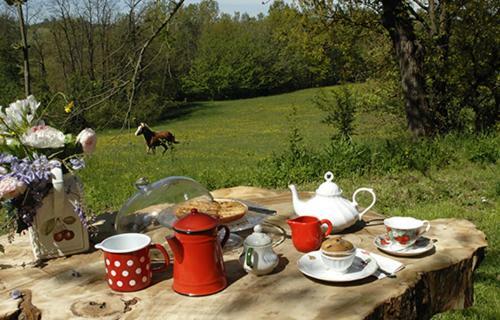 Agroturismo Bed & Breakfast Cascina Cin Cin