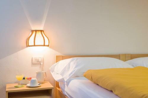 Hotel Regina Delle Dolomiti