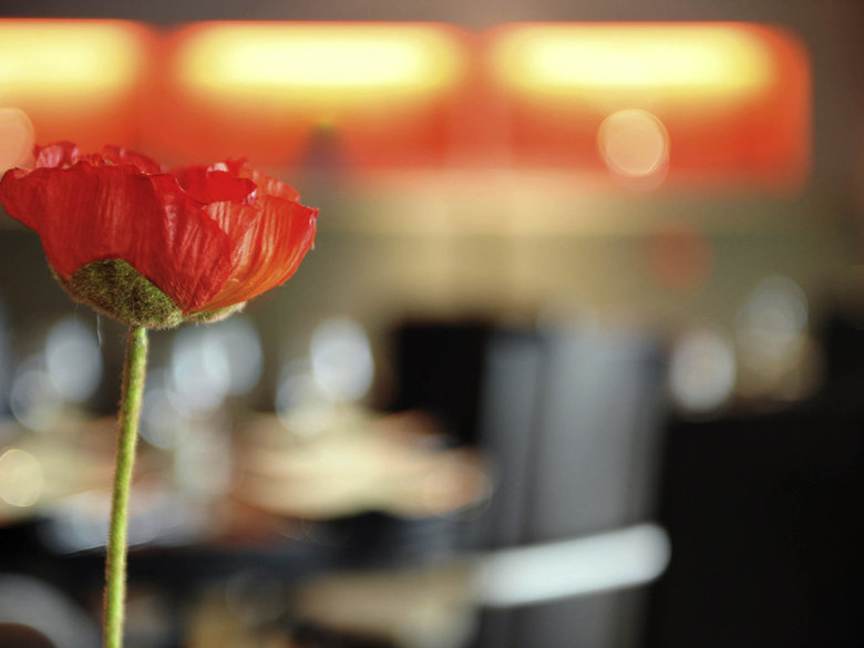 Hotel Mercure Brussels Airport