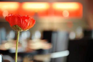 Hotel Mercure Brussels Airport