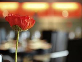Hotel Mercure Brussels Airport
