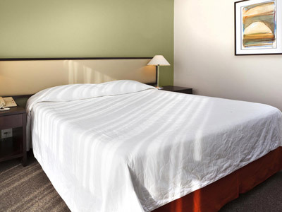 Hotel Rio Othon Palace