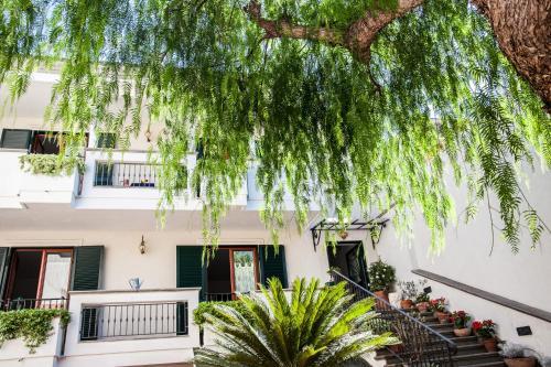 B&B Certe Notti