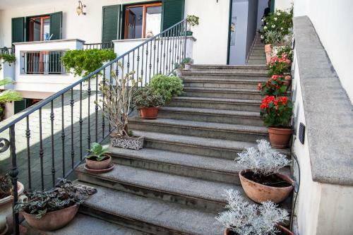 B&B Certe Notti