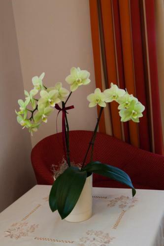 Hotel Pension Ciasa Olga