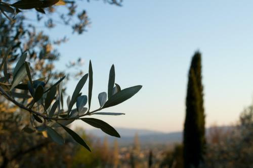 Apartamento Villa Degli Ulivi