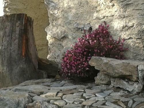 Agroturismo Casa Vacanze Roncaiola