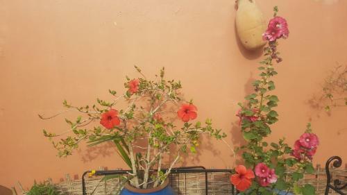 Bed & Breakfast Chambres D'h�tes Les Amis
