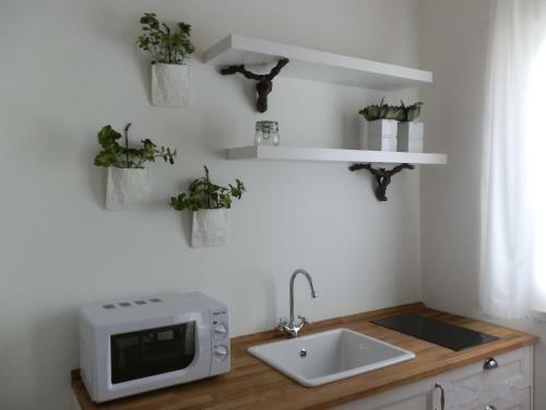 Apartamento Giardino Botanico