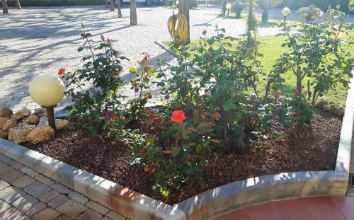 Apartamento Residence Il Corallo