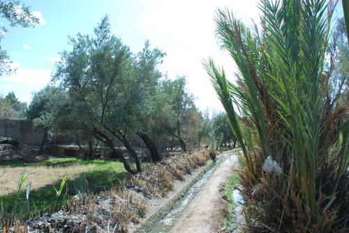 Agroturismo Dar Diafa