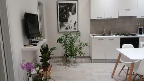 Apartamento Appartamento N�24