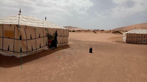 Night Desert Camp