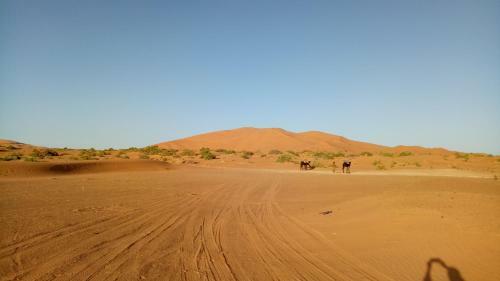 Night Desert Camp