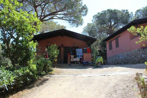 Camping Lacona Pineta