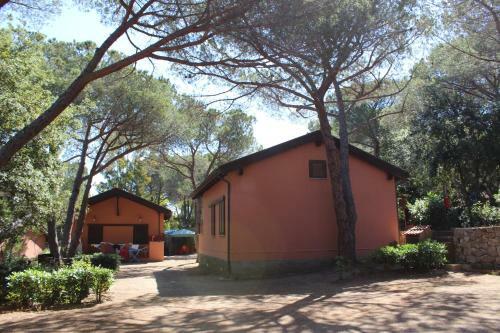Camping Lacona Pineta